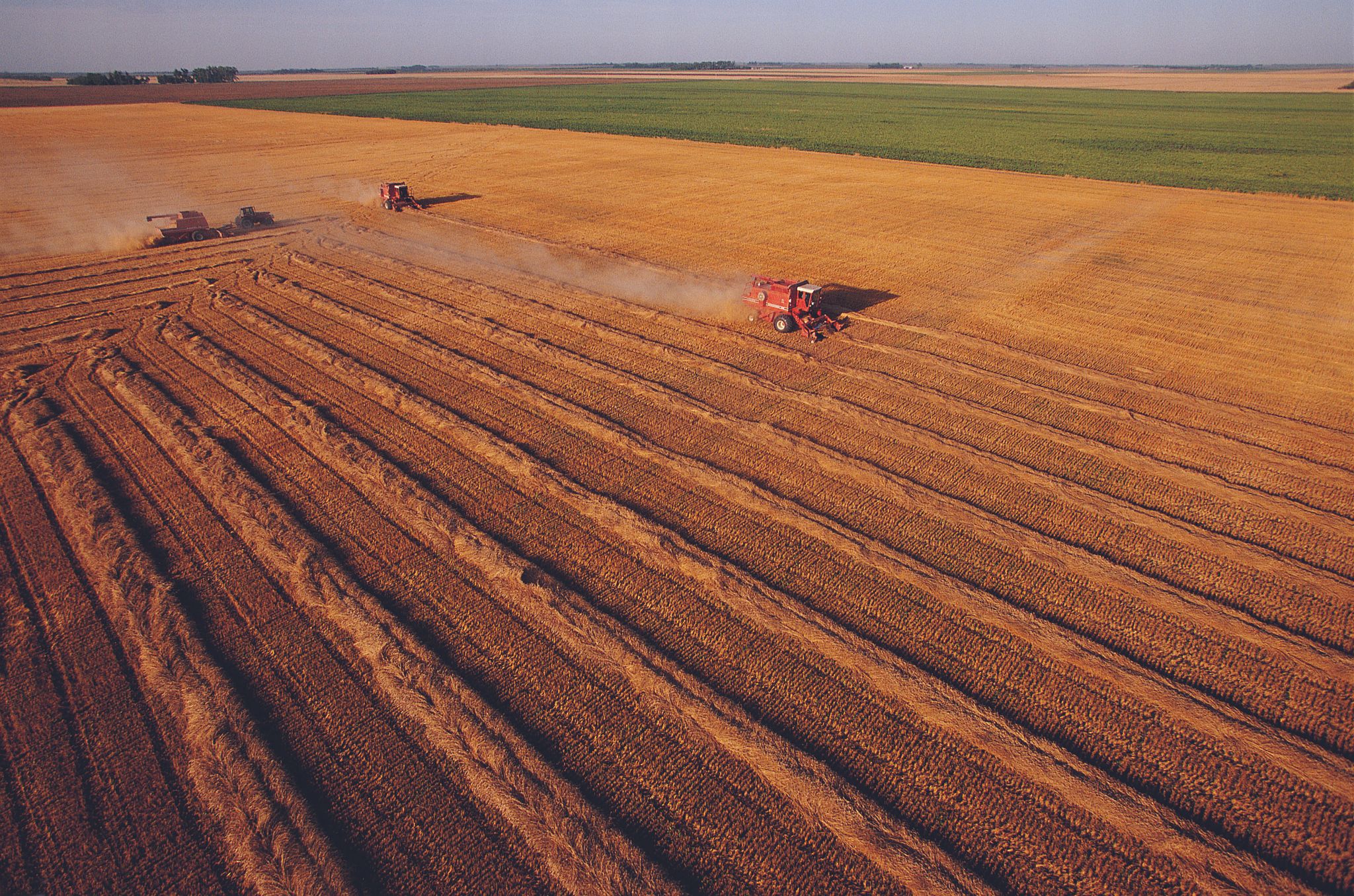 National Soils Strategy