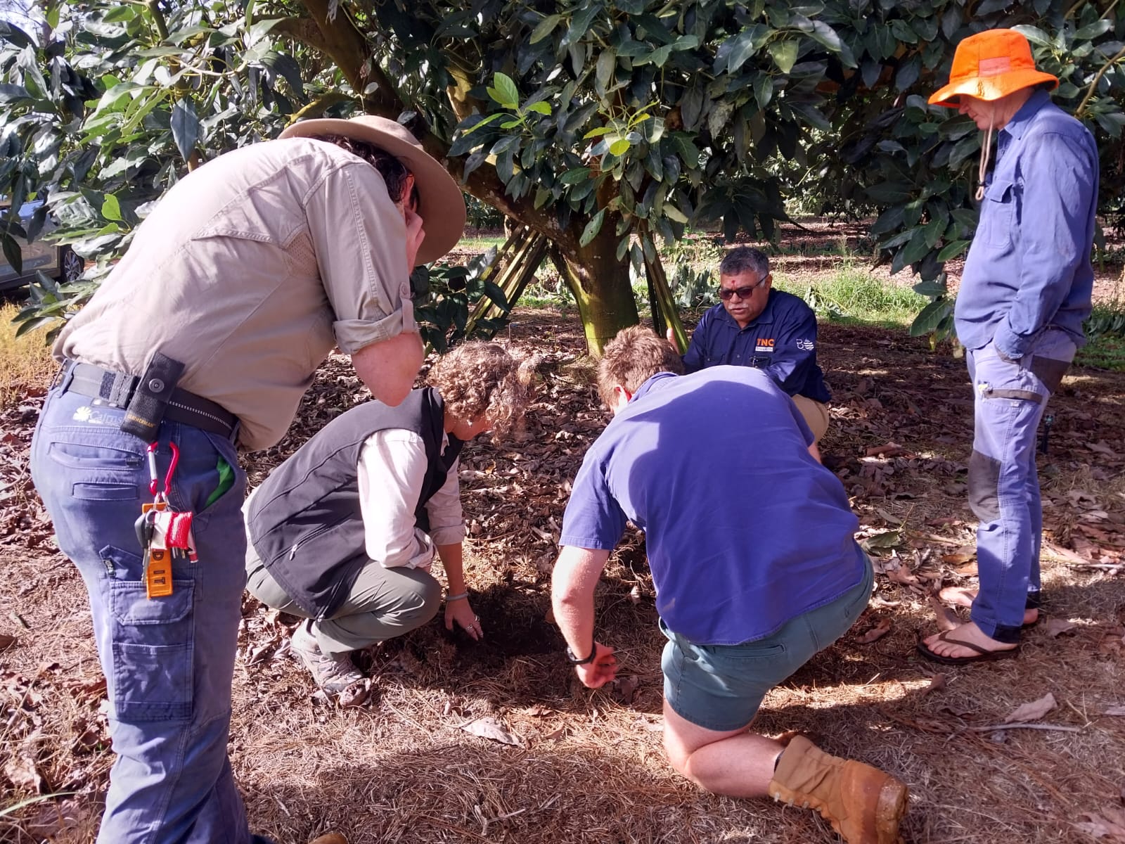 Newsletter #15: June 2023 - Tropical North Queensland Drought ...