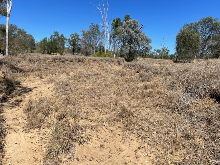 Examples of recovery works on significantly degraded land and bare soil erosion