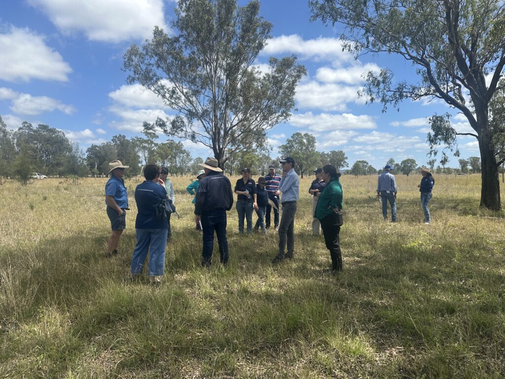 CQ Organics “Bindaree”