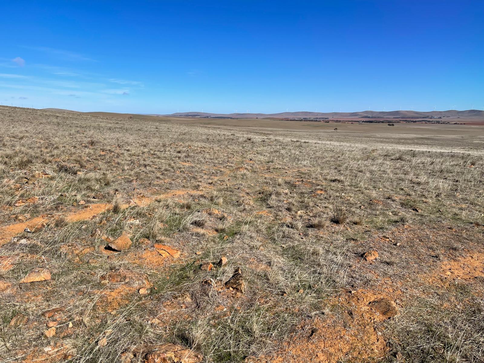 2025.06.3-7 International Rangelands Congress. Adelaide (2)