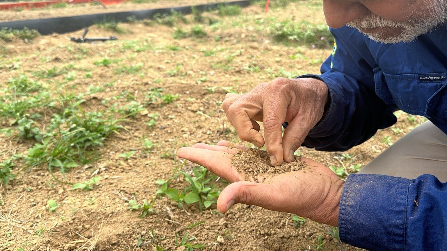Tropical North Queensland Drought Resilience Adoption and Innovation Hub